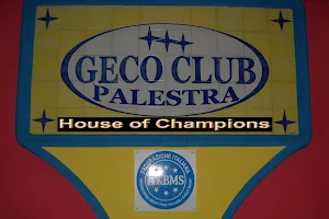 A.S.D. PALESTRA GECO CLUB image