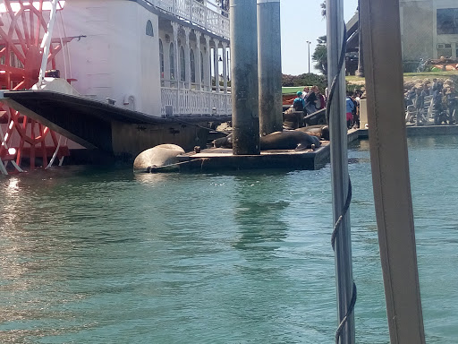 Safe Harbor Anacapa Isle image