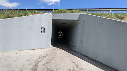 New Market Walking Tunnel