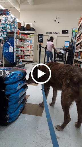 Pet Supply Store «Pet Supplies Plus», reviews and photos, 5394 Kemps River Dr Suite 101, Virginia Beach, VA 23464, USA