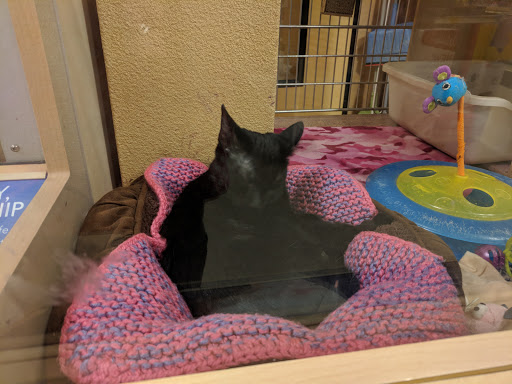 Pet Supply Store «PetSmart», reviews and photos, 19 Clifton Country Rd, Clifton Park, NY 12065, USA