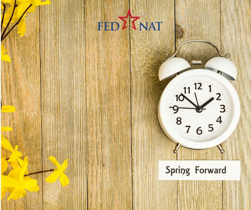 Insurance Agency «FedNat», reviews and photos