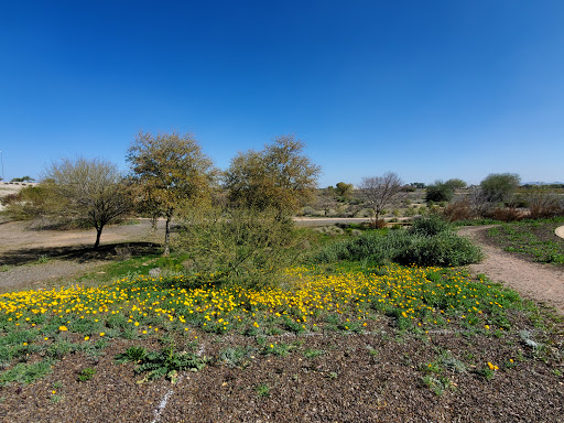 Park «Zanjero Park», reviews and photos, 3785 S Lindsay Rd, Gilbert, AZ 85297, USA