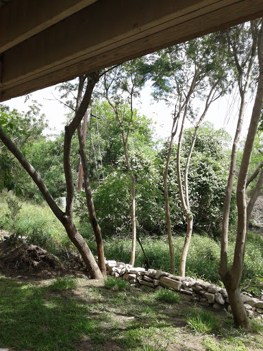 Park «McKelvey Park», reviews and photos, 1325 S 77 Sunshine Strip, Harlingen, TX 78550, USA