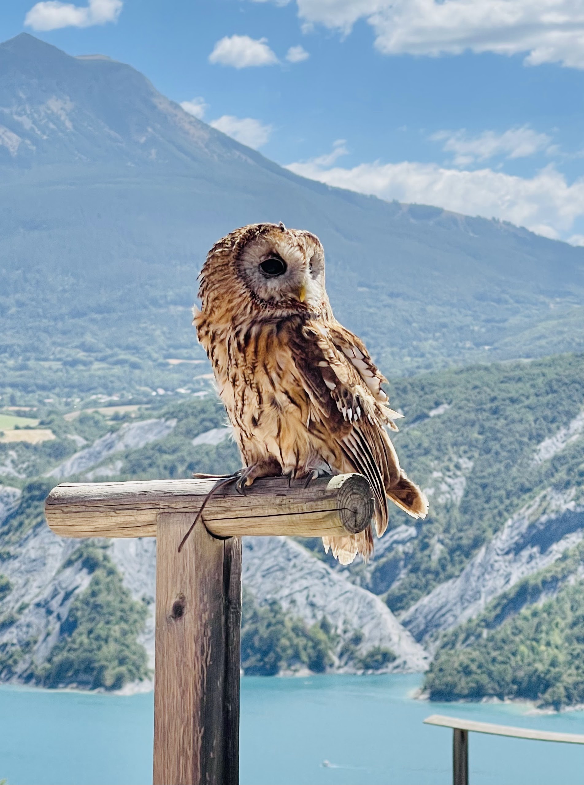 Photo n° 3 de l'avis de Ange.e fait le 13/08/2023 à 22:52