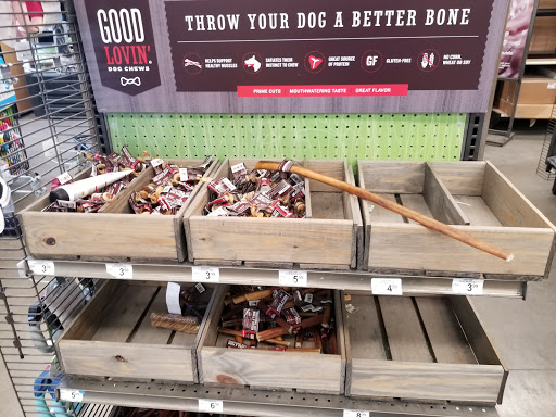 Pet Supply Store «Petco Animal Supplies», reviews and photos, 9111 Metropolitan Ave, Rego Park, NY 11374, USA