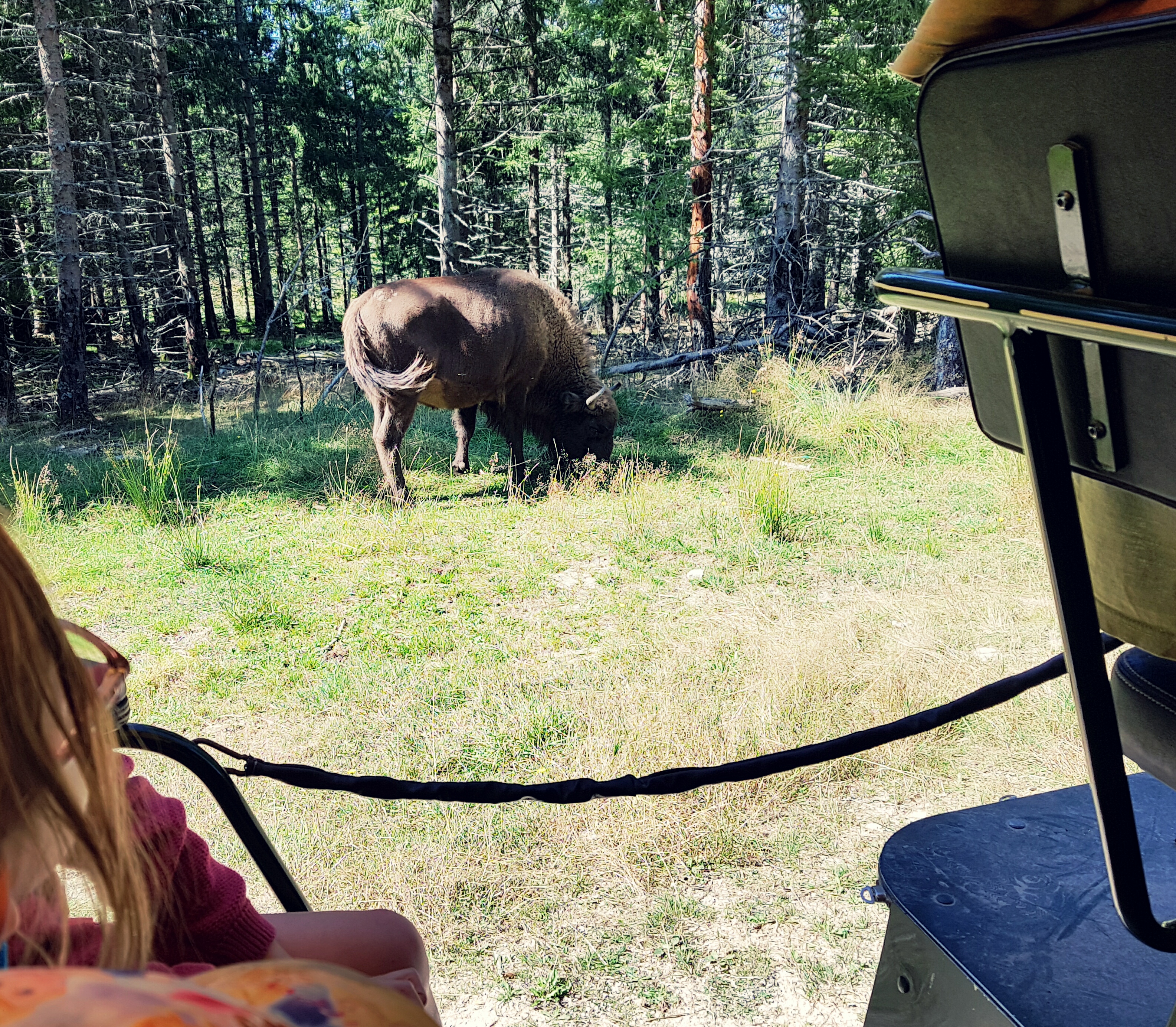 Photo n° 2 de l'avis de Cédric. fait le 31/12/2018 à 15:13