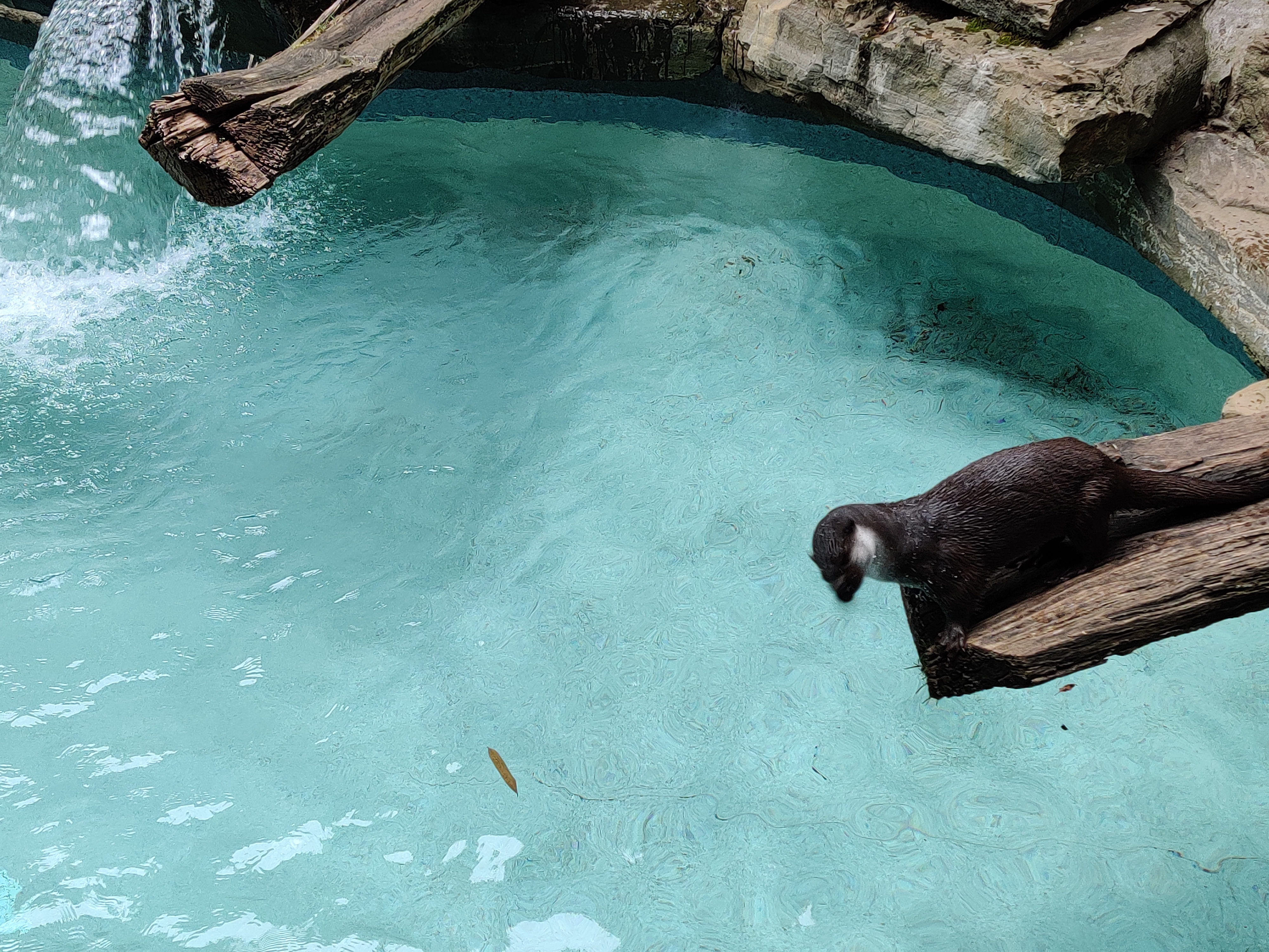 Photo n° 10 de l'avis de Emilie.a fait le 06/08/2023 à 13:12