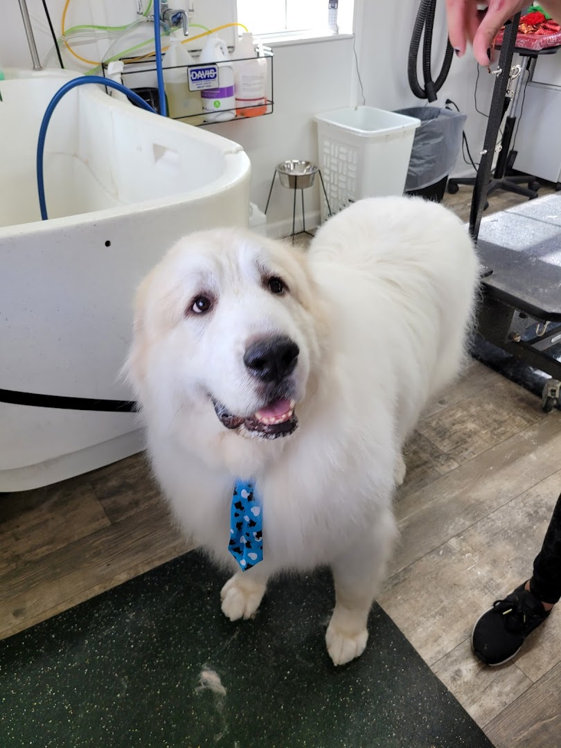 Canine Country Club & Grooming