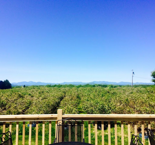 Winery «Charlotte Village Winery», reviews and photos, 3968 Greenbush Rd, Charlotte, VT 05445, USA