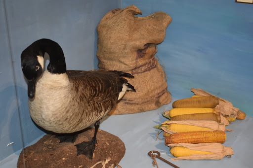 Museum «Havre De Grace Decoy Museum», reviews and photos, 215 Giles St, Havre De Grace, MD 21078, USA