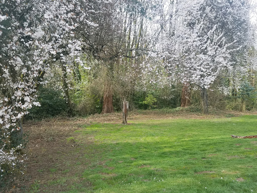 Park «Burlingame Park», reviews and photos, SW Falcon St & SW 12th Ave, Portland, OR 97219, USA
