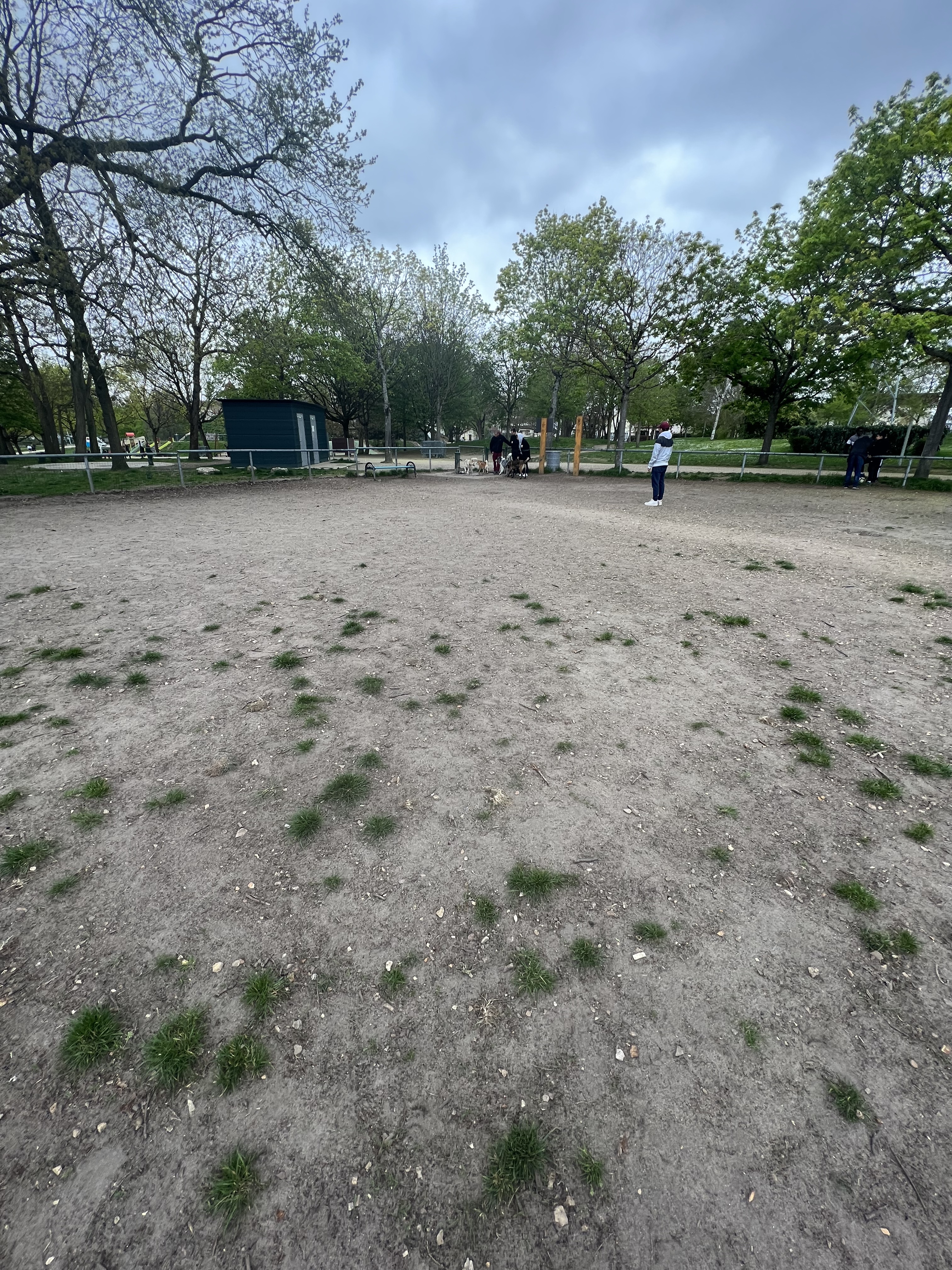 Photo n° 4 de l'avis de L... fait le 11/04/2023 à 03:31
