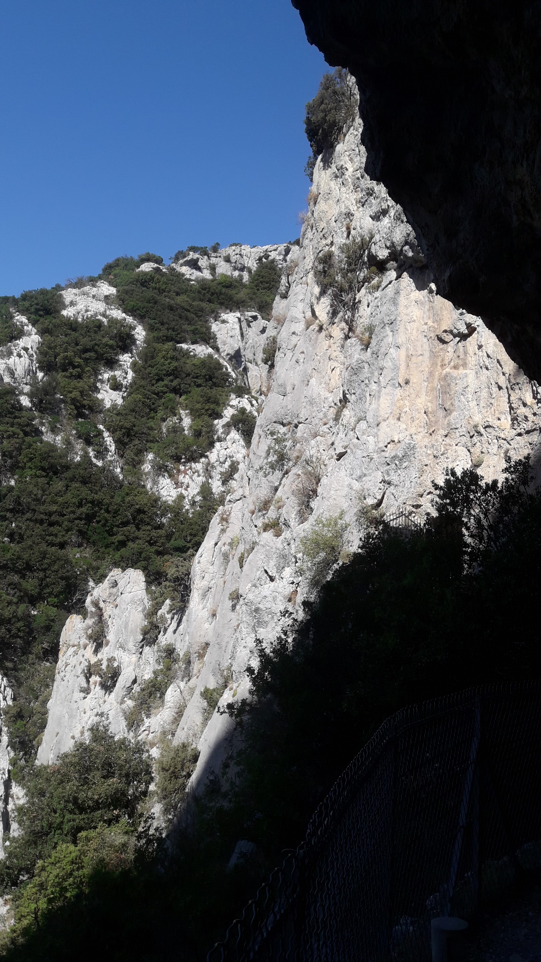 Photo n° 2 de l'avis de philippe.r fait le 12/08/2021 à 19:39