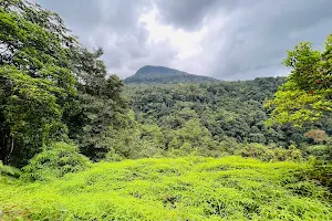 Sri Padaya-Kuruwita Erathna Trail Start image