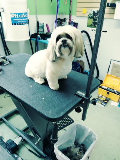 Pet Groomer «Happy Tails Pet Center», reviews and photos, 4370 SE King Rd Ste 260, Milwaukie, OR 97222, USA