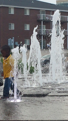 Auto Repair Shop «The Auto Connection», reviews and photos, 2037 P St, Lincoln, NE 68503, USA