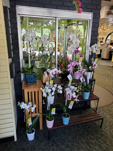 Florist «A Johnson & Sons Florist», reviews and photos, 1738 Grand Ave, St Paul, MN 55105, USA