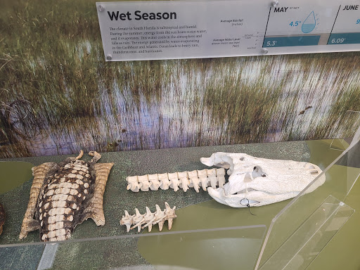 Tourist Attraction «Shark Valley Tram Tours», reviews and photos, 36000 SW 8th St, Miami, FL 33194, USA