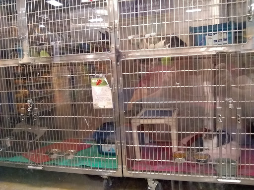 Pet Supply Store «PetSmart», reviews and photos, 860 NE Mall Blvd, Hurst, TX 76053, USA