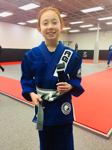 Martial Arts School «Detroit Academy of Martial Arts», reviews and photos, 3883 Rochester Rd, Troy, MI 48083, USA