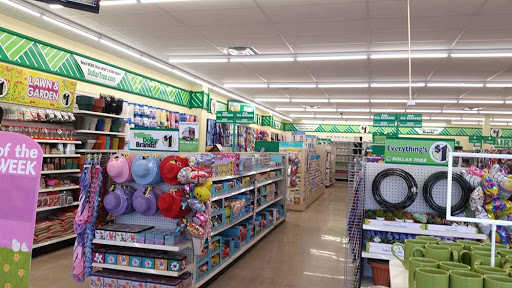 Dollar Store «Dollar Tree», reviews and photos, 950 American Legion Hwy, Boston, MA 02131, USA