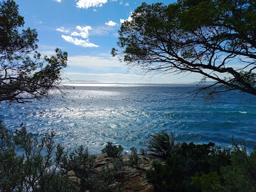 Pointe du figuier à Rayol-Canadel-sur-Mer