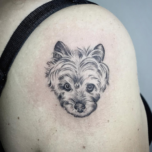 Comentários e avaliações sobre o Sparsa ink Tattoo