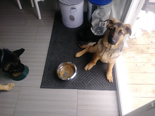 Pet Supply Store «Petco Animal Supplies», reviews and photos, 216 Colony Pl, Plymouth, MA 02360, USA