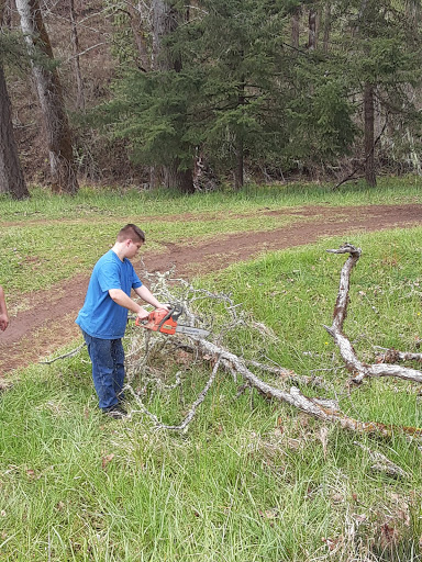 Insurance Agency «Allstate Insurance: Bill Cavinee», reviews and photos