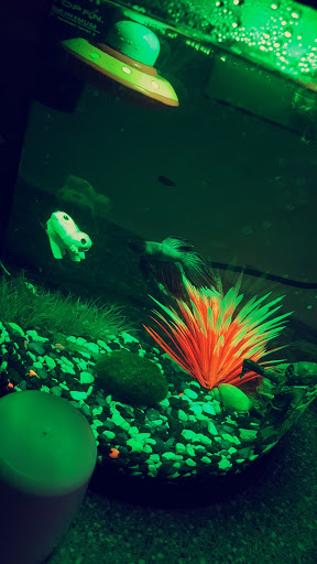 Pet Supply Store «Pet Supplies Plus», reviews and photos, 311 Sagamore Pkwy N, Lafayette, IN 47904, USA