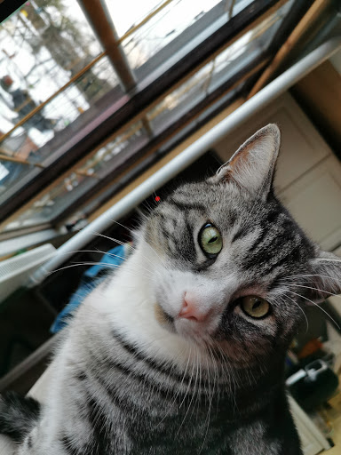 Tierarztpraxis Gemmer unter Meerbusch, Nordrhein-Westfalen