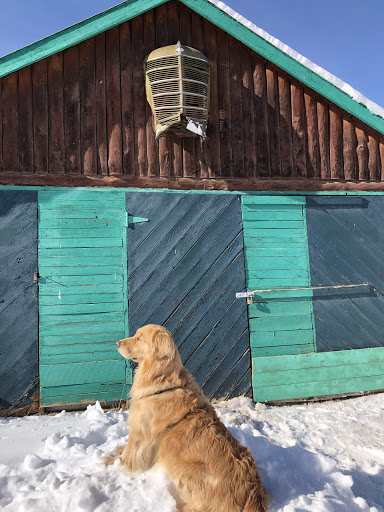 Grocery Store «Twin Lakes General Store», reviews and photos, 6451 CO-82, Twin Lakes, CO 81251, USA