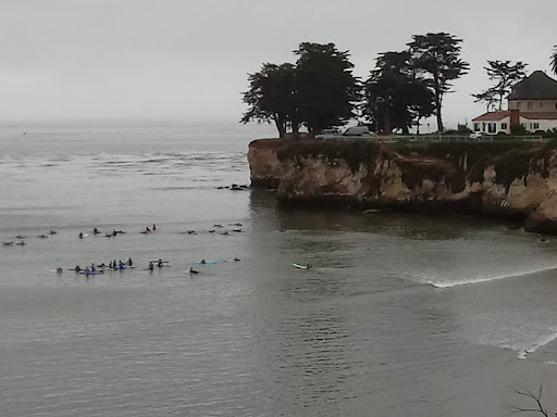 Coffee Shop «Santa Cruz Coffee Roasting Co.», reviews and photos, 1330 Pacific Ave, Santa Cruz, CA 95060, USA