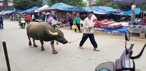 Top 20 các cửa hàng dkbike Huyện Xi Ma Cai Lào Cai 2022