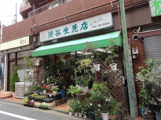 Shibuya Florist