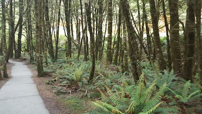 Photos of Fantail Falls
