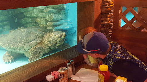 Restaurant «Fin Inn», reviews and photos, 1500 W Main St, Grafton, IL 62037, USA