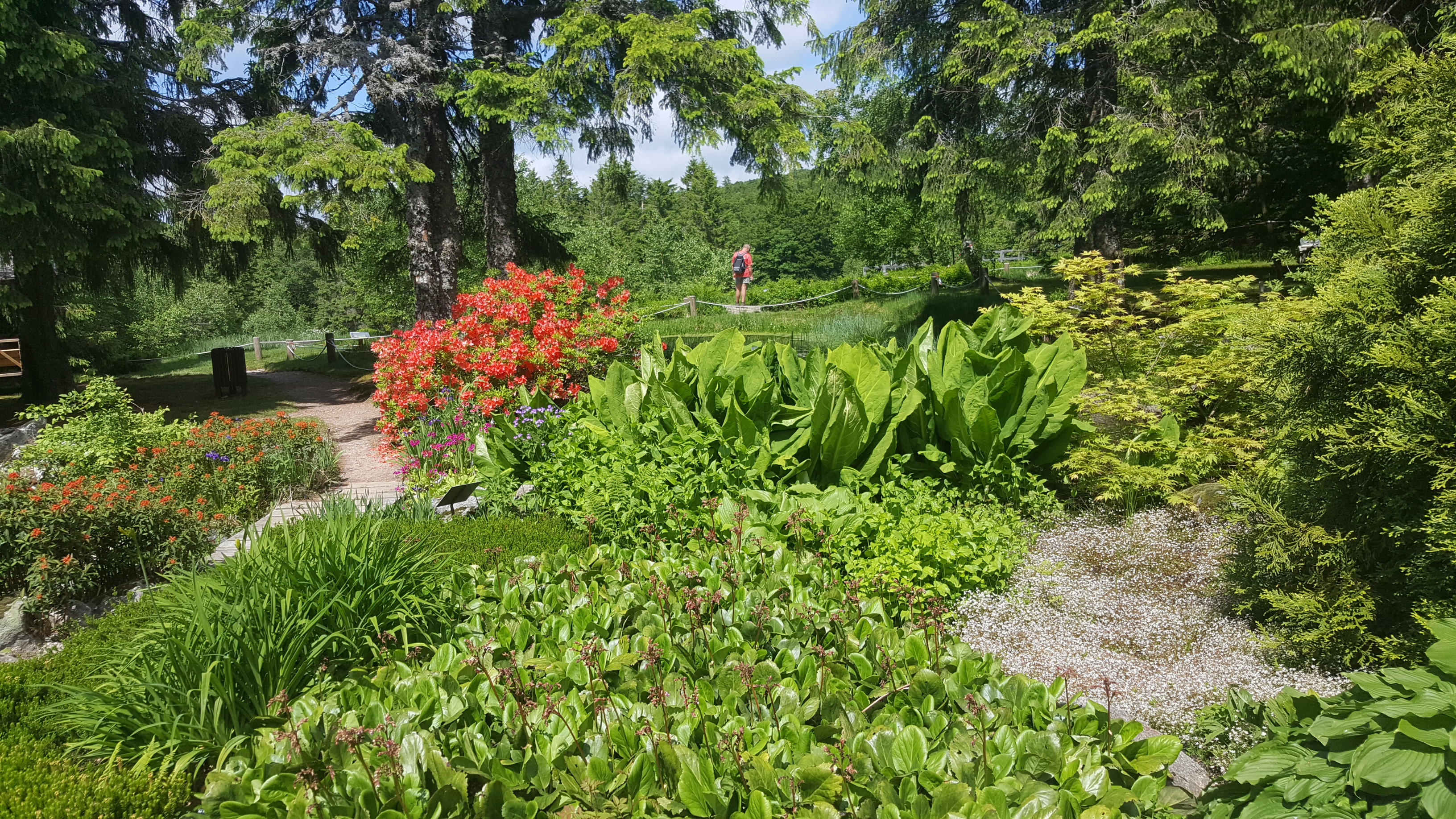 Photo n° 34 de l'avis de Jean-Sébastien.O fait le 23/06/2019 à 16:49