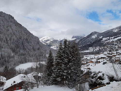 L'ours Blanc Sarl à Châtel