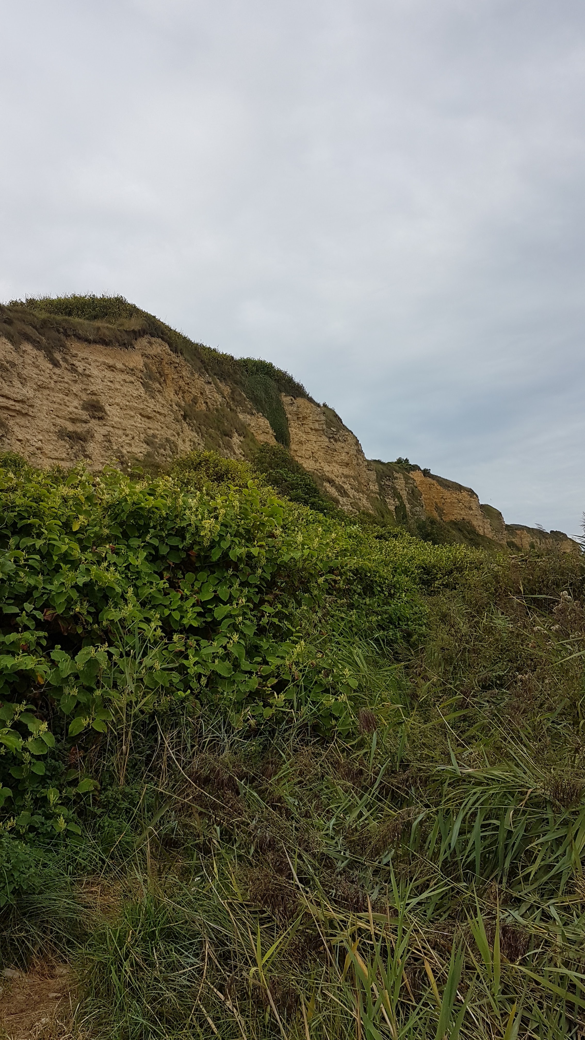 Photo n° 1 de l'avis de Monique.o fait le 09/09/2019 à 20:20