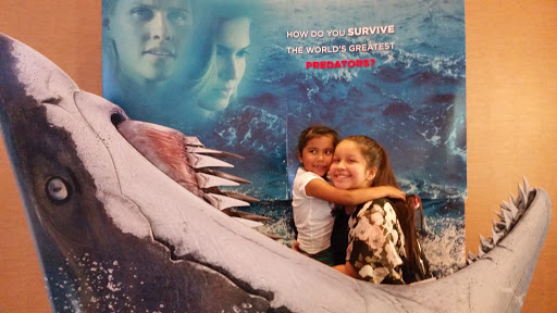 Movie Theater «Cinemark Towne Centre and XD», reviews and photos, 201 Skyline Dr #25, Conway, AR 72032, USA