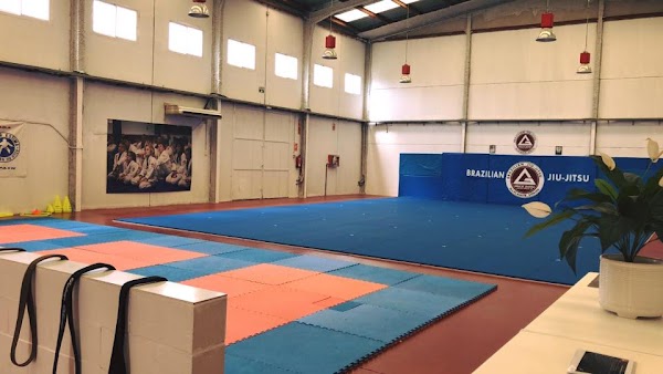 Aikido Aikikai San Vicente del Raspeig y Universidad de Alicante Infantil, Juvenil y Adultos