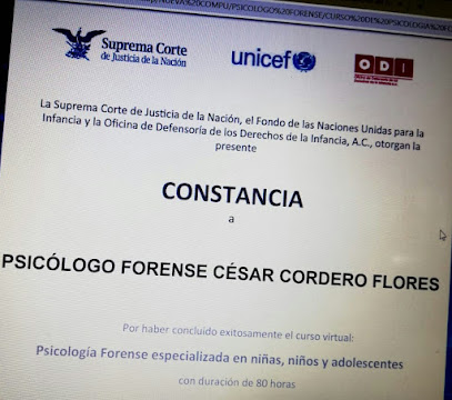 Psicólogo Forense Cesar Cordero