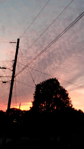 Nature Preserve «Reynolds Nature Preserve», reviews and photos, 5665 Reynolds Rd, Morrow, GA 30260, USA