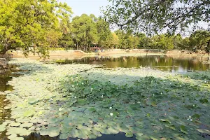 Lotus Pond Park Pallikaranai image