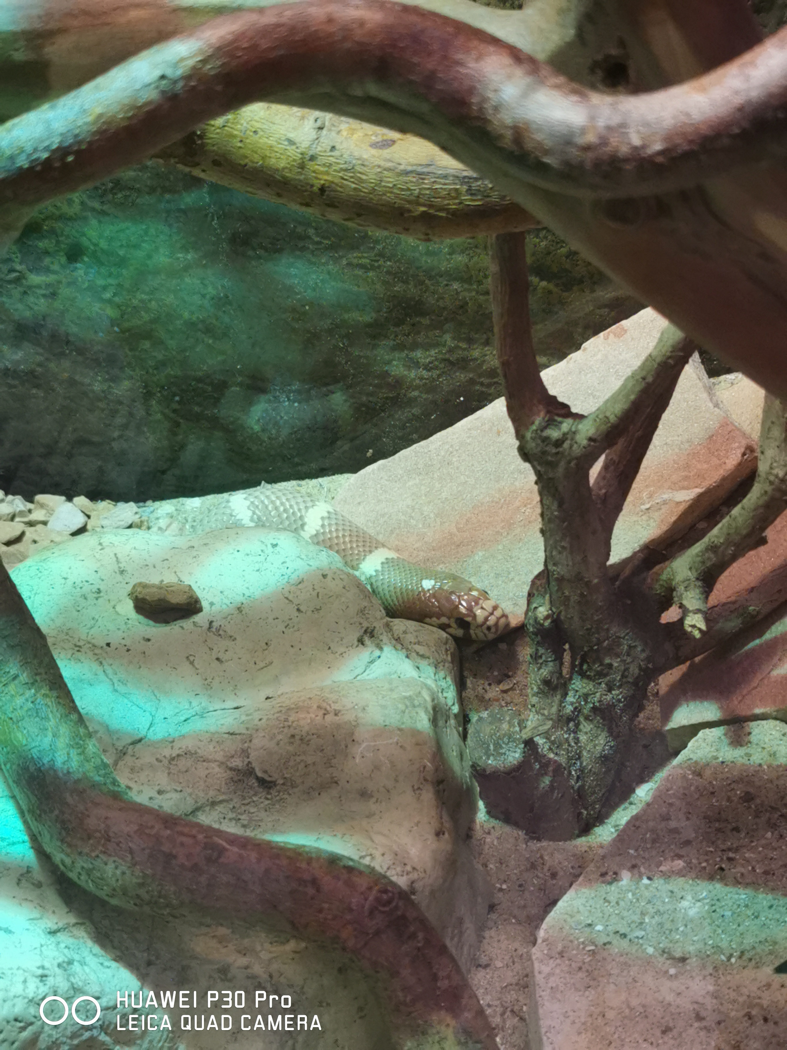 Photo n° 8 de l'avis de sulivan.u fait le 30/10/2023 à 12:42