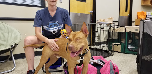 Pet Supply Store «PetSmart», reviews and photos, 47142 Michigan Ave, Canton, MI 48188, USA