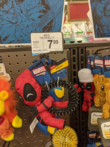 Pet Supply Store «Petco Animal Supplies», reviews and photos, 859 Kings Creek Dr, Tupelo, MS 38804, USA