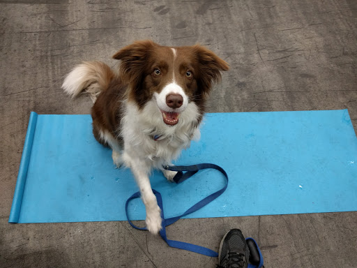 Pet Supply Store «Pet Food Express», reviews and photos, 5148 Stevens Creek Blvd, San Jose, CA 95129, USA